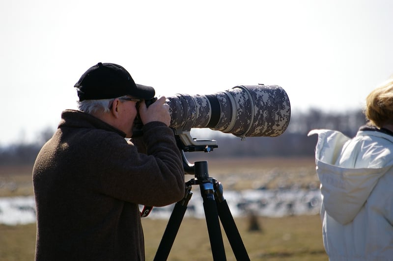 Chrono-Watchers